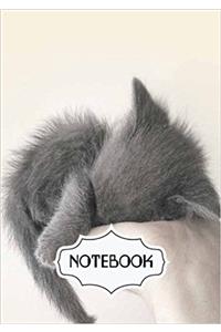 Notebook Journal Sleeping Kitty