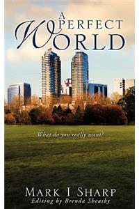 Perfect World