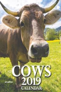 Cows 2019 Calendar (UK Edition)