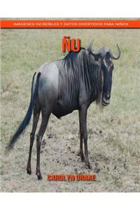 Ñu