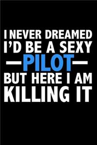 I never dreamed I'd a sexy Pilot but here I am killing it Career Journal 6 x 9 120 pages notebook