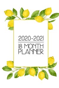 2020 - 2021 18 Month Planner