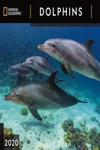 Cal 2020-National Geographic Dolphins Wall