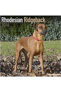 Rhodesian Ridgeback Calendar 2018