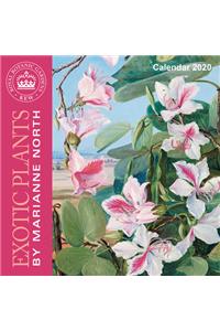 Kew Gardens - Exotic Plants by Marianne North - Mini Wall Calendar 2020