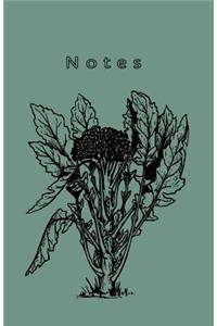 Notes