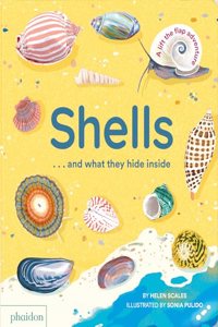 Shells... and What They Hide Inside