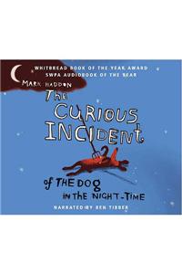 Curious Incident of the Dog in the Night-time