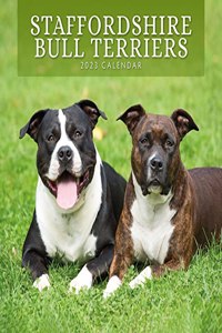 STAFFORDSHIRE BULL TERRIERS 2023 SQUARE