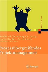 Prozessübergreifendes Projektmanagement