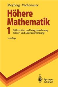 H Here Mathematik 1: Differential- Und Integralrechung Vektor- Und Matrizenrechung
