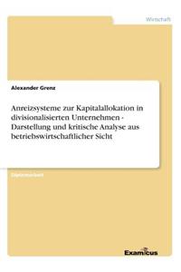 Anreizsysteme zur Kapitalallokation in divisionalisierten Unternehmen - Darstellung und kritische Analyse aus betriebswirtschaftlicher Sicht