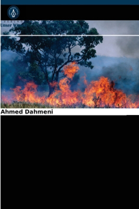 Entwicklung einer Waldbrandgefahrenkarte
