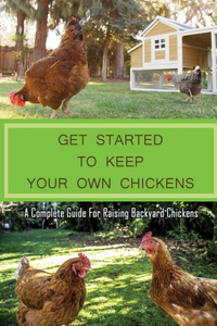 Get Started To Keep Your Own Chickens