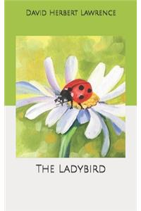 The Ladybird