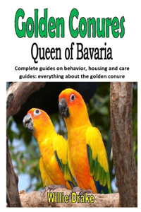 Golden Conure Queen of Bavaria