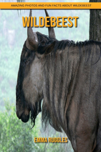 Wildebeest