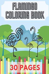 Flamingo Coloring Book