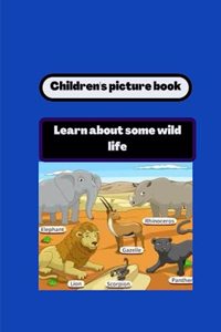 Picture book