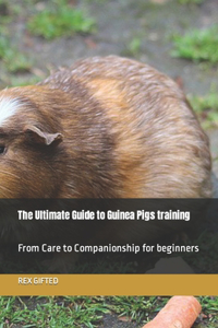 The Ultimate Guide to Guinea Pigs training