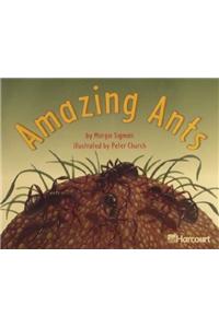 Harcourt School Publishers Trophies: Independent Reader Grade K Amazing Ants