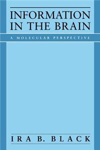 Information in the Brain