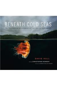 Beneath Cold Seas