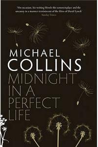 Midnight in a Perfect Life