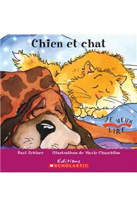 Chien Et Chat