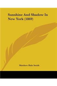 Sunshine And Shadow In New York (1869)