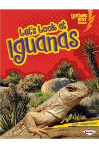 Let's Look at Iguanas