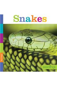 Snakes