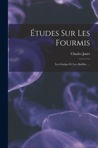 Études Sur Les Fourmis