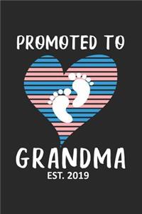 Promoted To Grandma Est. 2019