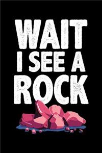 Wait I See A Rock: 120 Page Lined Notebook - [6x9]