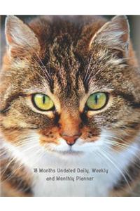 18 Months Undated Daily, Weekly and Monthly Planner