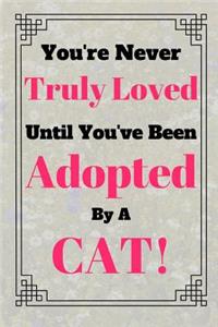 You're Never Truly Loved Until You've Been Adopted By A Cat!