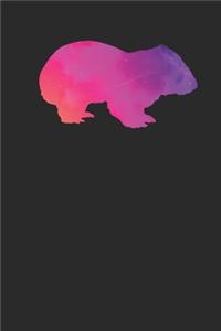 Wombat Space Silhouette