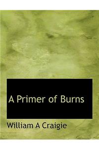 A Primer of Burns