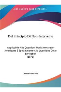 del Principio Di Non-Intervento