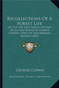 Recollections of a Forest Life