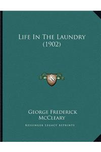 Life In The Laundry (1902)