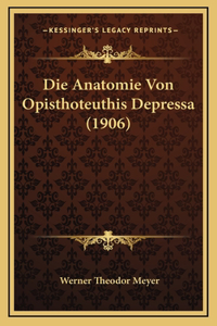 Die Anatomie Von Opisthoteuthis Depressa (1906)