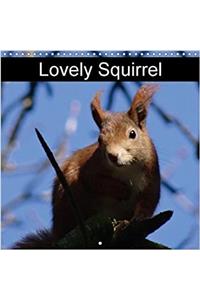 Lovely Squirrel 2018