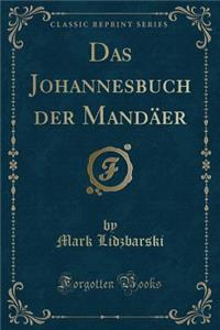 Das Johannesbuch Der Mandï¿½er (Classic Reprint)