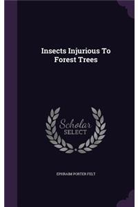 Insects Injurious To Forest Trees