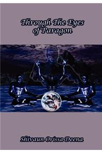Through the Eyes of Paragon