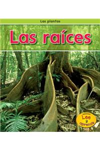 Las Raíces