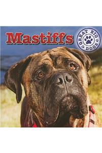 Mastiffs