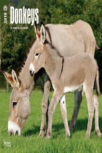 Donkeys 2018 Wall Calendar